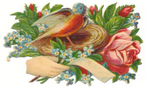 Victorian Trade Card