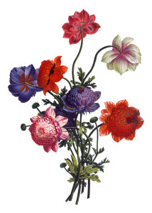 Free Vintage Images - Flower bouquet