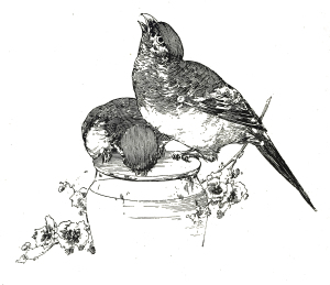 Vintage Bird Clip Art Illustration