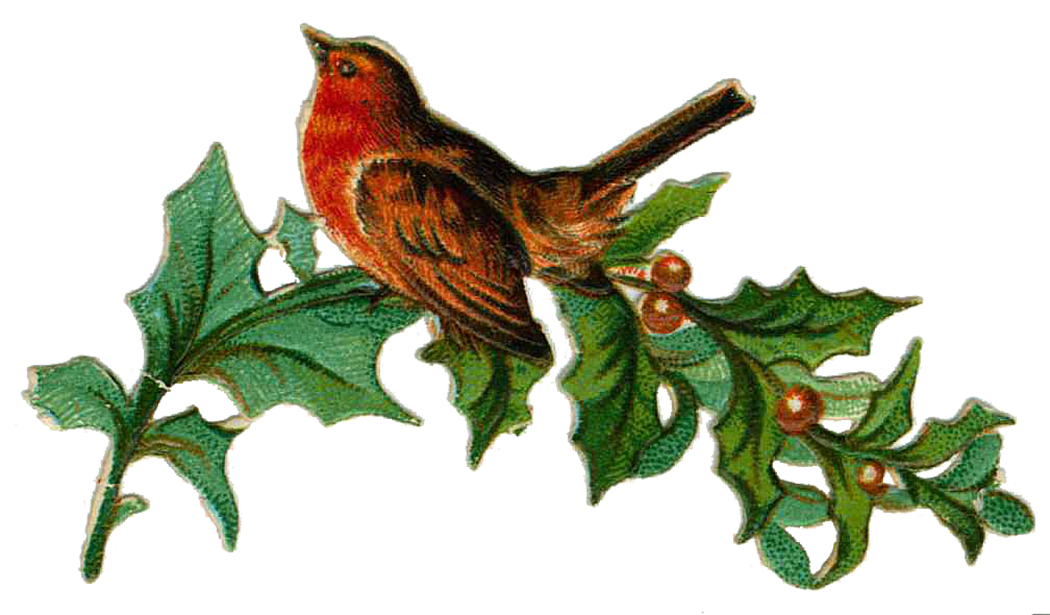 vintage christmas bird clip art